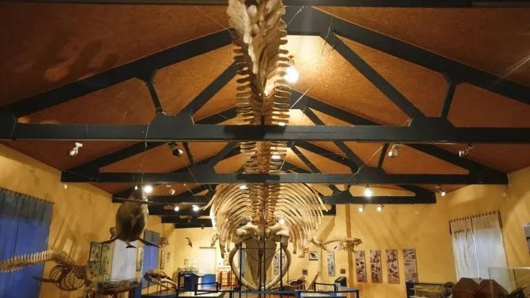 Demanda reclamando indemnización por daños corporales con estimación de la demanda