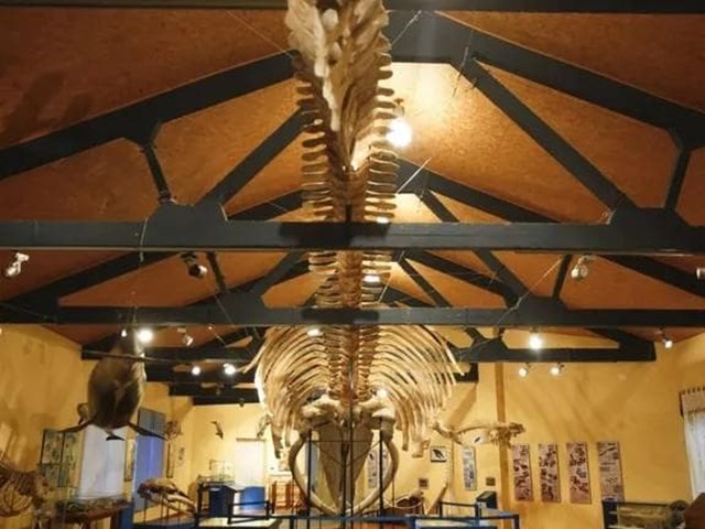 Demanda reclamando indemnización por daños corporales con estimación de la demanda